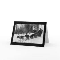 Mail Delivery by a Dog Team 1905 cards by lc_vintagephotos Mail Delivery by a Dog Team 1905 cards