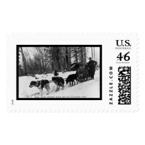 Mail Delivery by a Dog Team 1905 postage by lc_vintagephotos Mail Delivery by a Dog Team 1905 postage