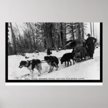 Mail Delivery by a Dog Team 1905 Poster
