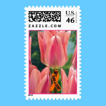 Mail MS Awareness stamps