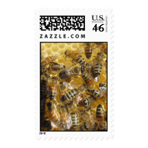 Mail order Bees Postage