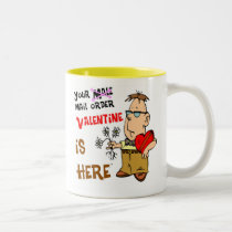 Mail Order Valentine Guy 1 mugs