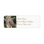 Mailing Label-2 - Customized