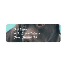 Mailing Label Template 2 - Customized