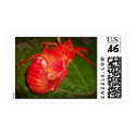 Mailing Stamps "coconut crab" by Bubujima Mailing Stamps "coconut crab"