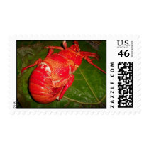 Mailing Stamps "coconut crab"