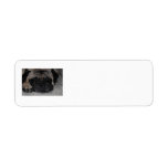 Mailing Stickers Return Address Label