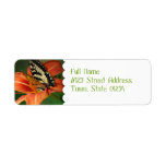 MailingLabel-4 - Customized