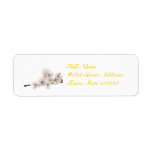 MailingLabel-5 - Customized