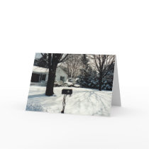 Mail's In cards