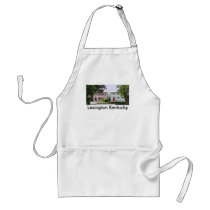 Main Street #3, Lexington Kentucky aprons