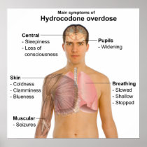 Main Symptoms of a Hydrocodone Overdose Chart Posters