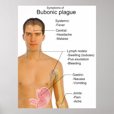 Bubonic Plague Today 2011