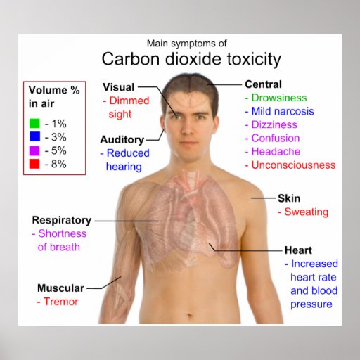 main-symptoms-of-carbon-dioxide-toxicity-chart-poster-zazzle