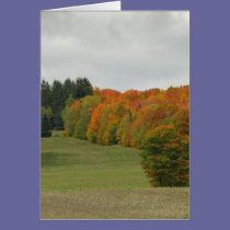 Maine Autumn cards