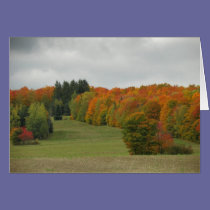 Maine Autumn cards
