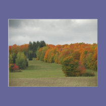 Maine Autumn postcards