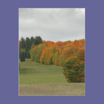 Maine Autumn postcards