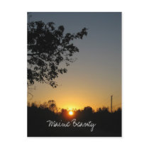 Maine Beauty Postcard by Killerleer Maine Beauty Postcard