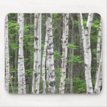Maine Birch Grove mousepads