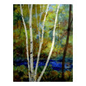 Maine Birch Stream posters by Maine_Art Maine Birch Stream posters