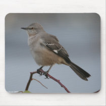 Maine Birds mousepads by Stcysct07 Maine Birds mousepads