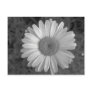 Maine_Black White_117