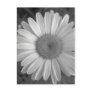 Maine_Black White_117