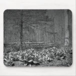 Maine_Black+White_71 Mouse Mat