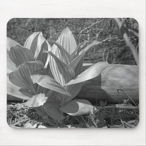 Maine_Black+White_76 Mouse Mats