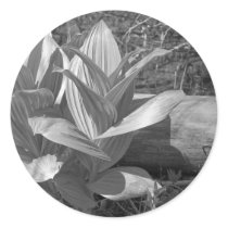 Maine_Black+White_76 stickers