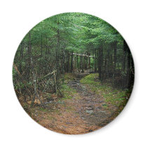 Maine Coast magnets by nmpics Maine Coast magnets