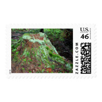 Maine Coast postage by nmpics Maine Coast postage