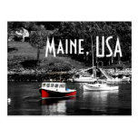 Maine Color On Black Boat Postcard
