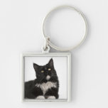 Maine Coon (15 months old) Key Chain