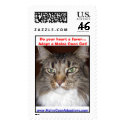 Maine Coon Adoptions - Morphy postage