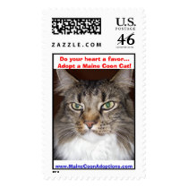 Maine Coon Adoptions - Morphy Stamps