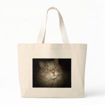 Maine Coon bags