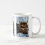 Maine Coon, brown tabby Coffee Mugs