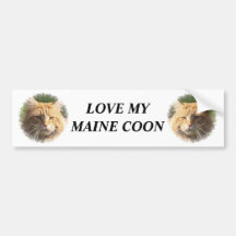 maine coon bumper stickers