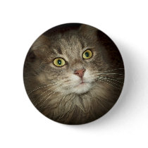 Maine Coon buttons by BambiW Maine Coon buttons