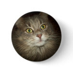 Maine Coon Pinback Button Maine Coon Pinback Button
