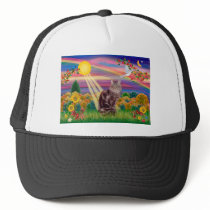 Maine Coon Cat 10 - Autumn Sun Hat