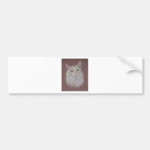 Maine Coon cat - Ally Bumper Sticker