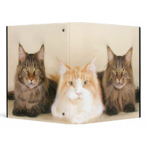 Maine coon cat binder