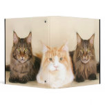 Maine coon cat binder