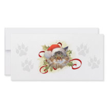 Maine Coon Cat Christmas Photo Card photo cards