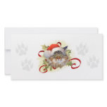 Maine Coon Cat Christmas Photo Card photo cards