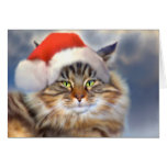 Maine Coon Cat Christmas Portrait Card