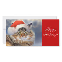 Maine Coon Cat Christmas Portrait Photo Card